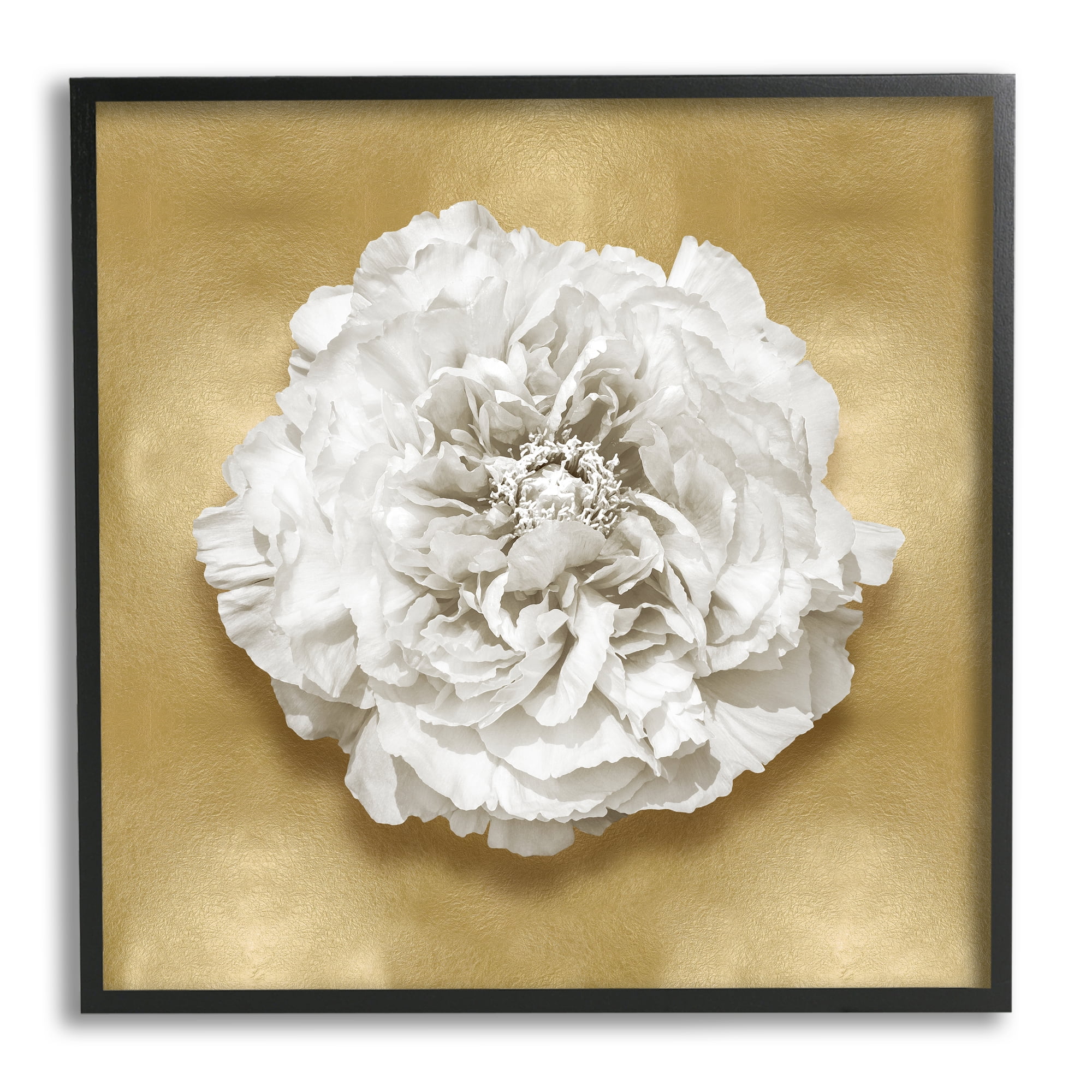 Stupell Industries Glam White Carnation Botanical & Floral Painting Black Framed Art Print Wall Art, 24 x 24
