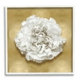 thumbnail image 1 of Stupell Industries Glam White Carnation Botanical & Floral Painting White Framed Art Print Wall Art, 12 x 12, 1 of 9