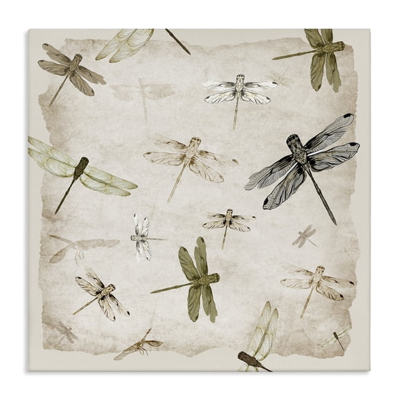 Stupell Industries Glide In Grace Dragonflies Canvas Wall Art design by Jacob Q, 17 x 17