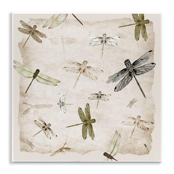 Stupell Industries Glide In Grace Dragonflies Wall Plaque Art design by Jacob Q, 12 x 12