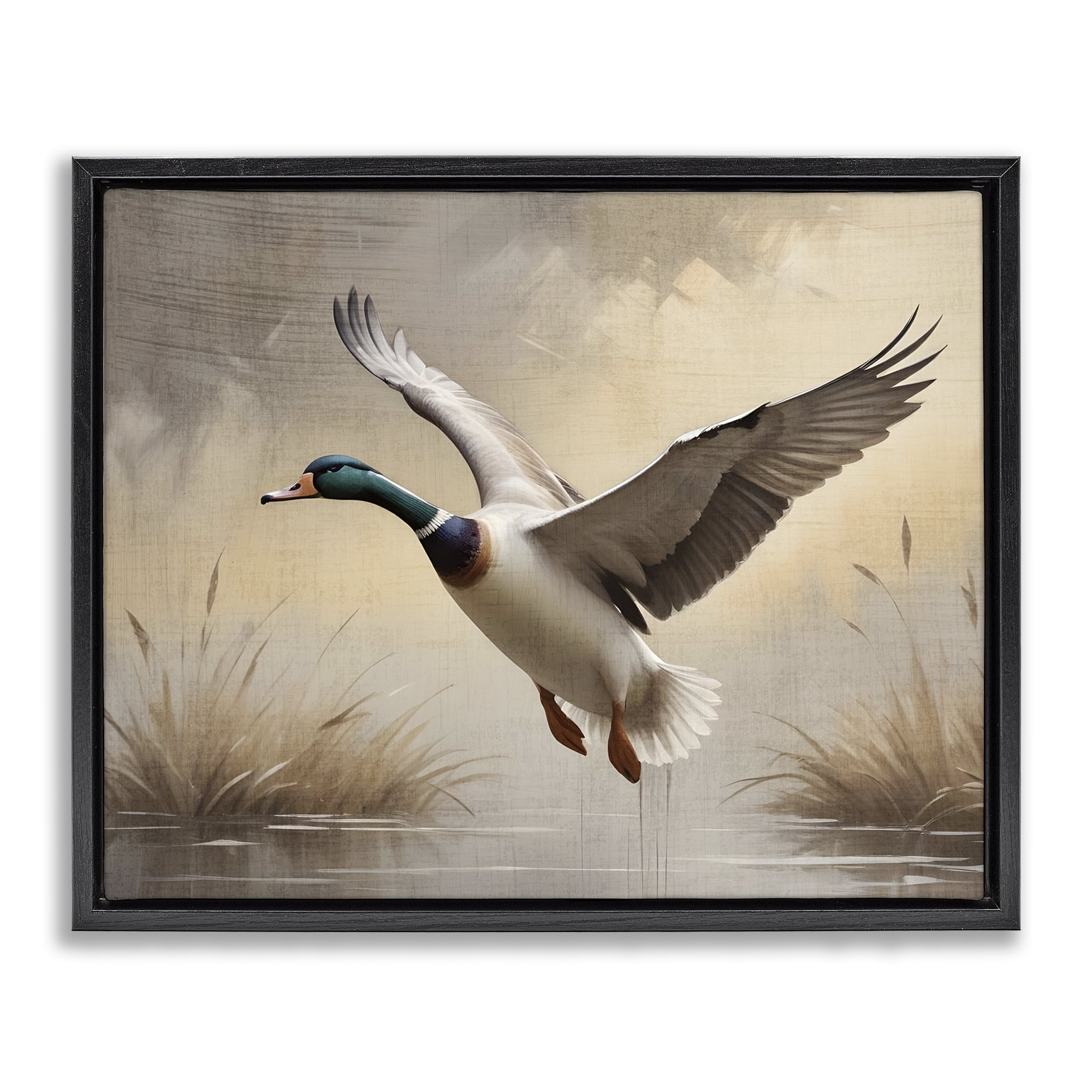 Stupell Industries Gliding Mallard over Wetlands Black Framed Floater Canvas Wall Art, design by Susan Arnot