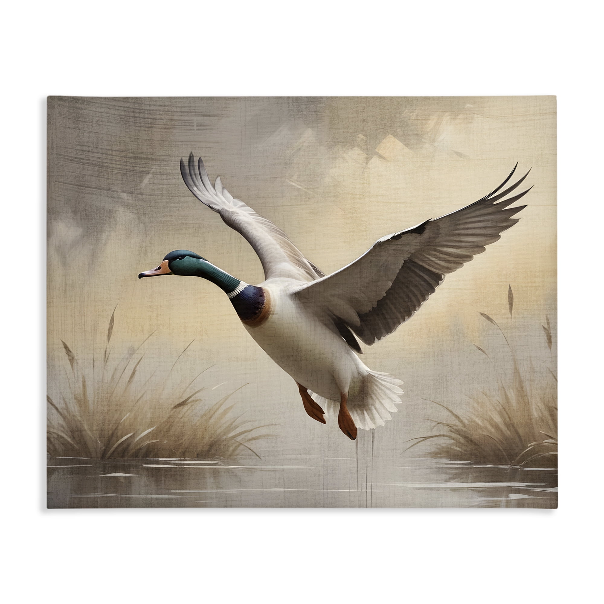 Stupell Industries Gliding Mallard over Wetlands Canvas Wall Art, design by Susan Arnot