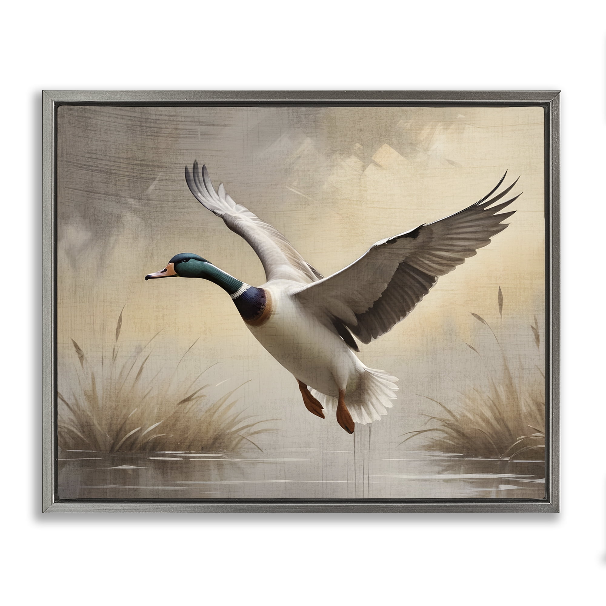 Stupell Industries Gliding Mallard over Wetlands Gray Framed Floater Canvas Wall Art, design by Susan Arnot