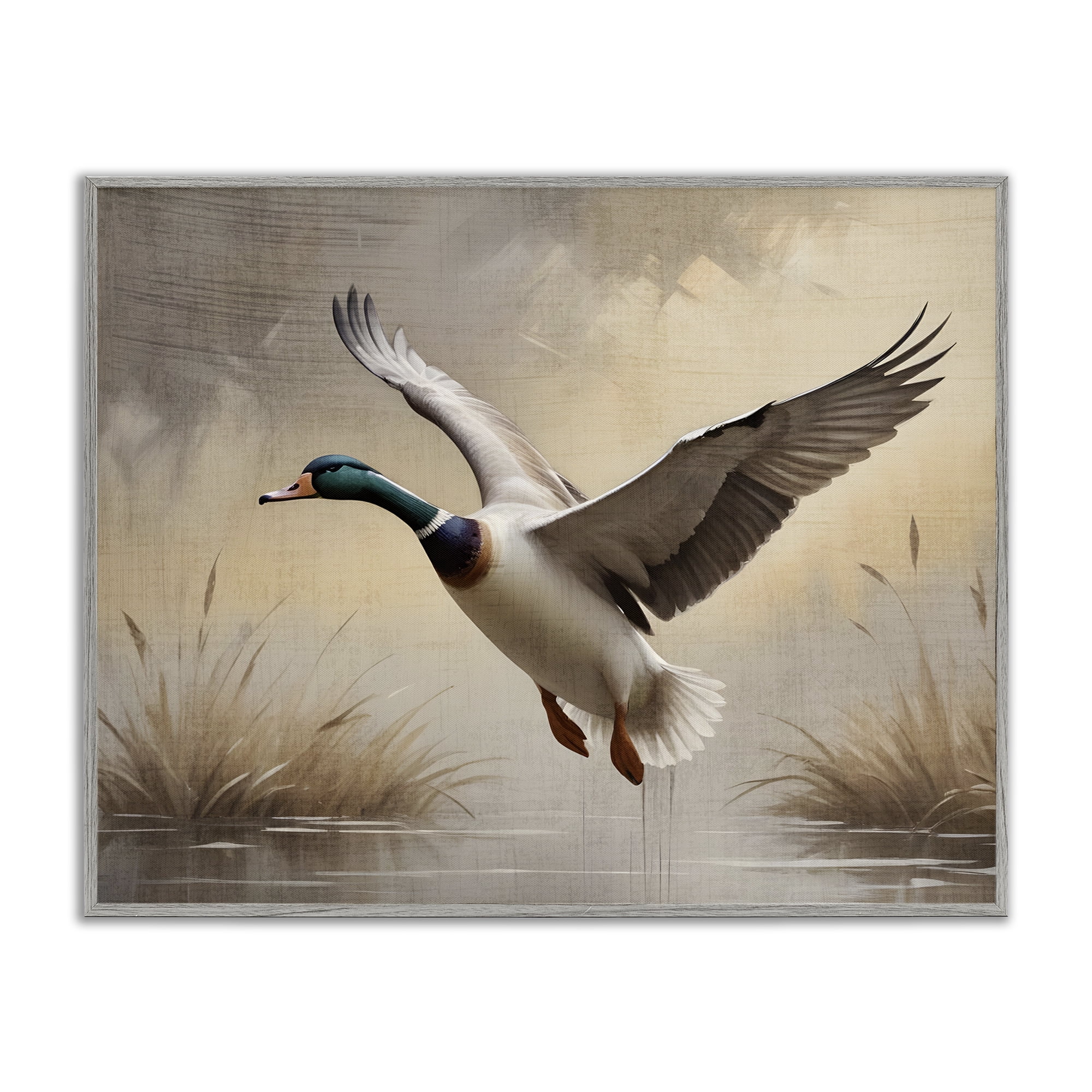 Stupell Industries Gliding Mallard over Wetlands Gray Framed Giclee Art, design by Susan Arnot