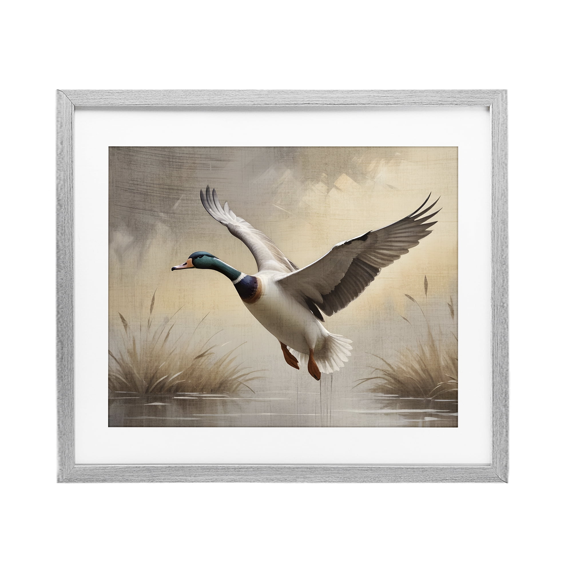 Stupell Industries Gliding Mallard over Wetlands Gray Framed Print Under Glass, design by Susan Arnot
