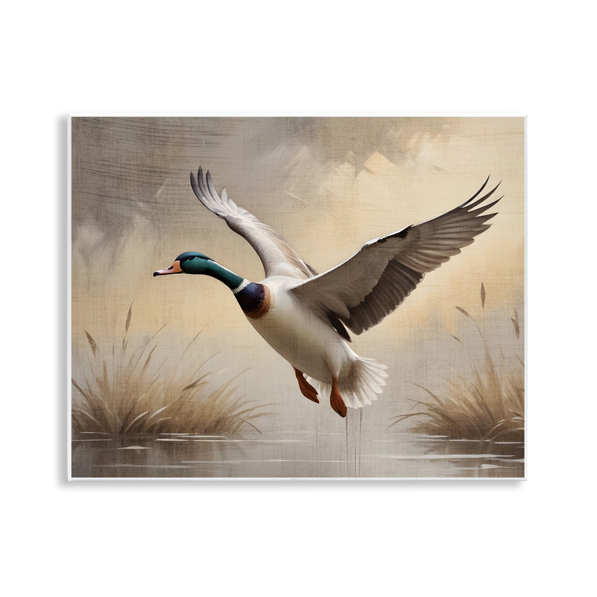 Stupell Industries Gliding Mallard over Wetlands Wall Plaque Art, design by Susan Arnot