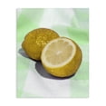thumbnail image 1 of Stupell Industries Contemporary Glimmer Lemon on Green Canvas Art, 16 x 20, by LISH Creative, 1 of 8