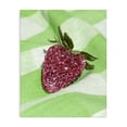thumbnail image 1 of Stupell Industries Contemporary Glimmer Strawberry on Green Canvas Art, 30 x 40, by LISH Creative, 1 of 8