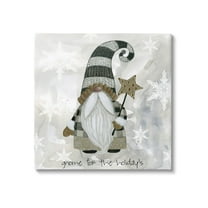 Stupell Industries Gnome For Holidays Snowflakes Graphic Art Gallery Wrapped Canvas Print Wall Art, Design by Livi Finn