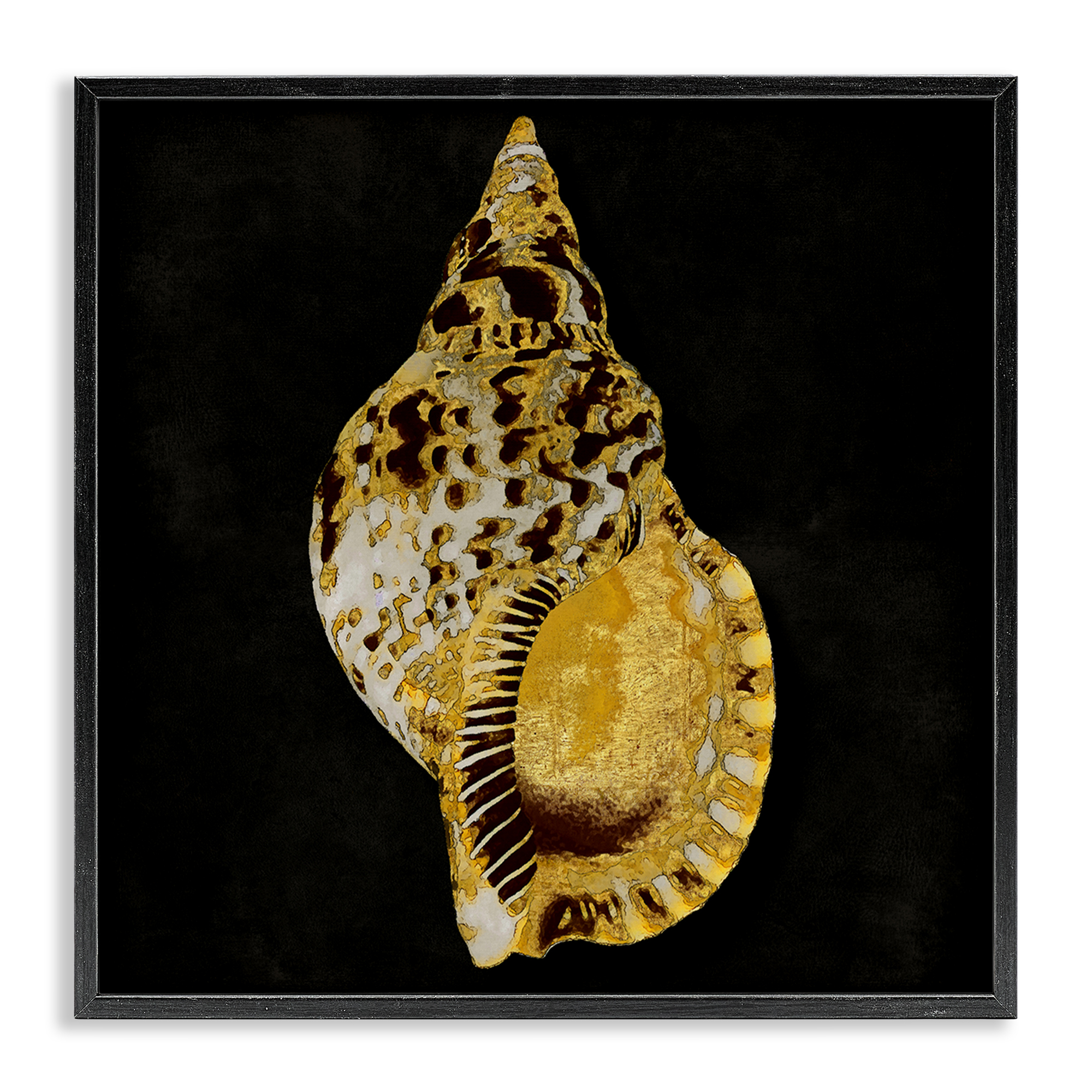 Stupell Industries Gold Conch on Black Nautical & Beach Painting Black Framed Art Print Wall Art, 12 x 12
