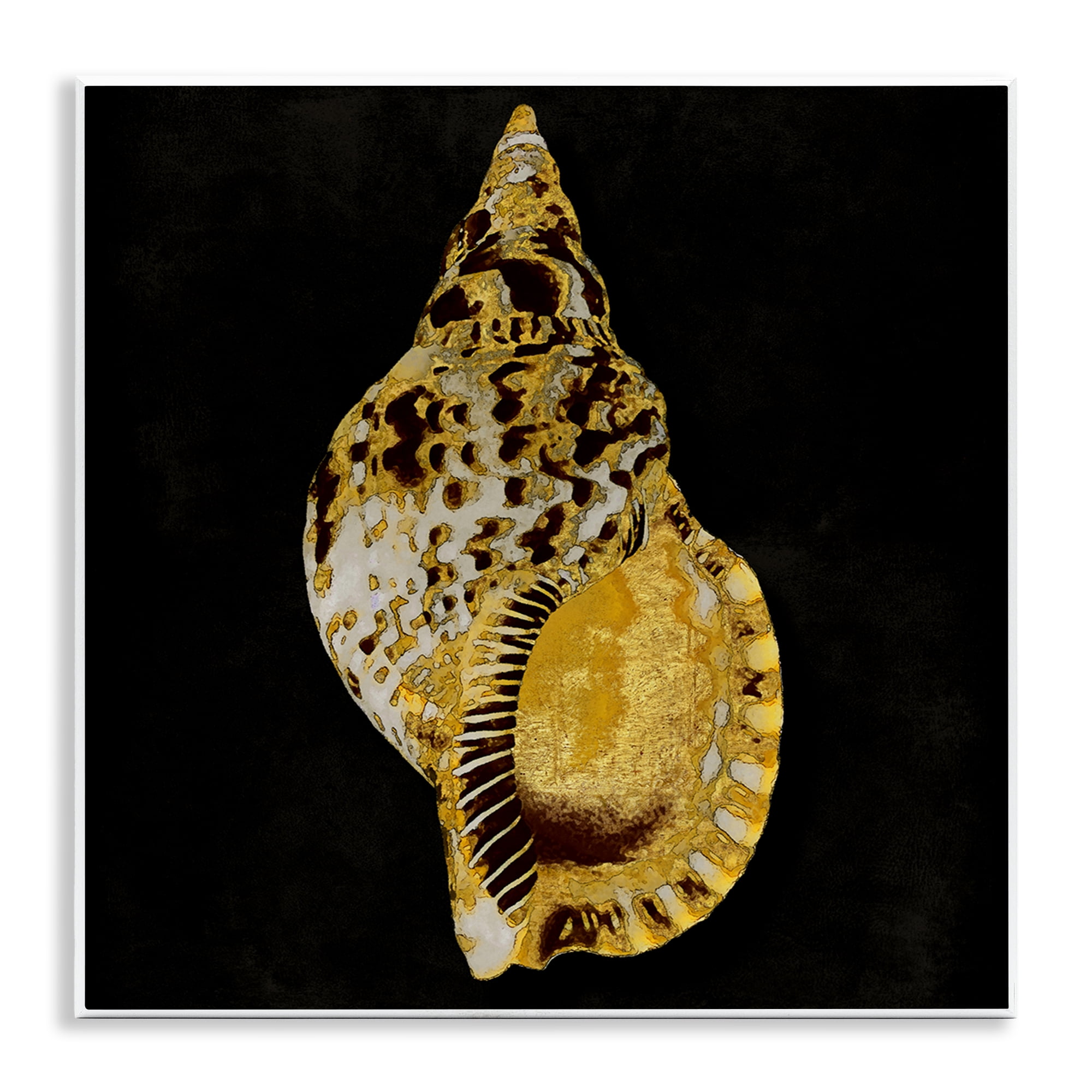 Stupell Industries Gold Conch on Black Nautical & Beach Painting Unframed Art Print Wall Art, 12 x 12
