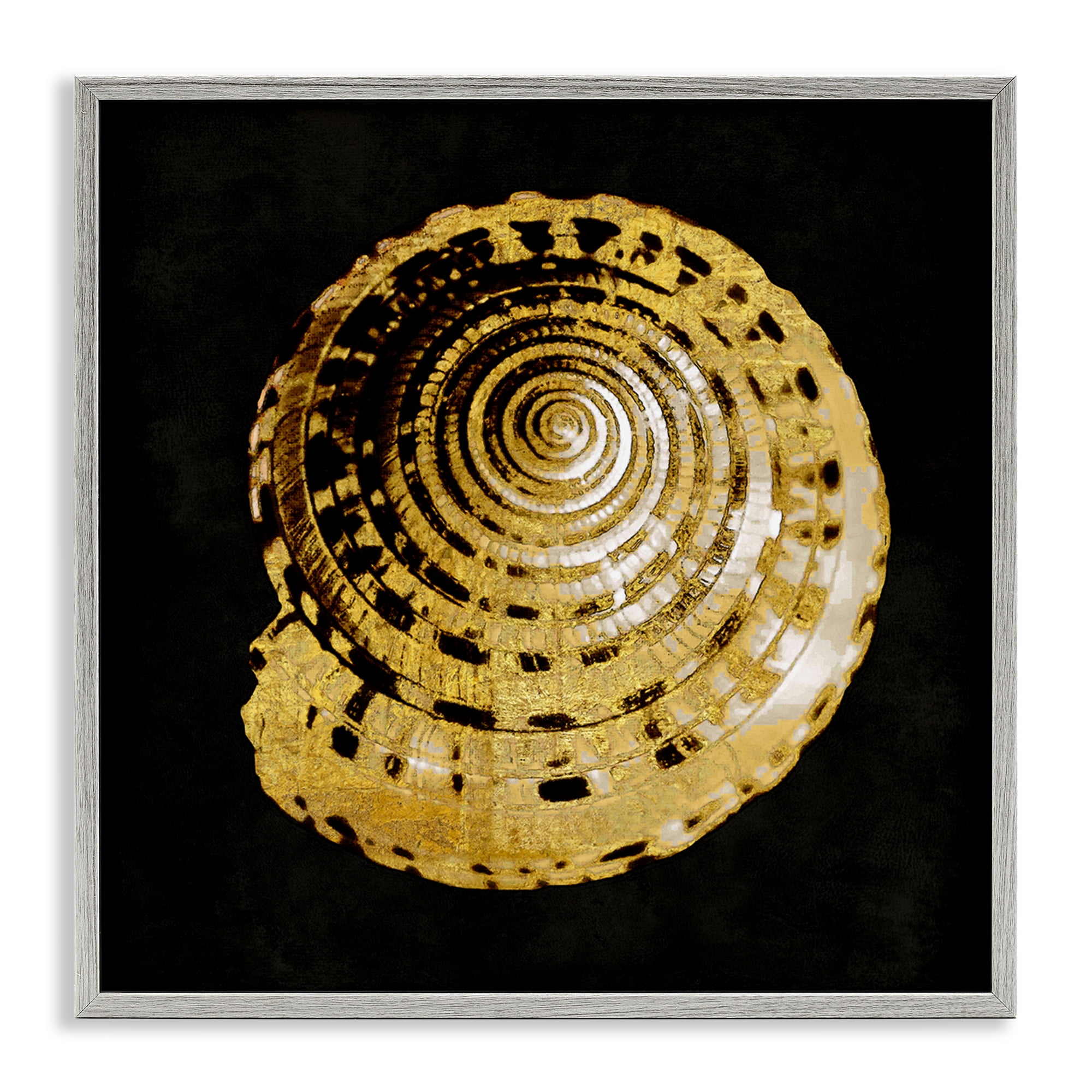 Stupell Industries Gold Spiral Shell Nautical & Beach Painting Gray Framed Art Print Wall Art, 24 x 24
