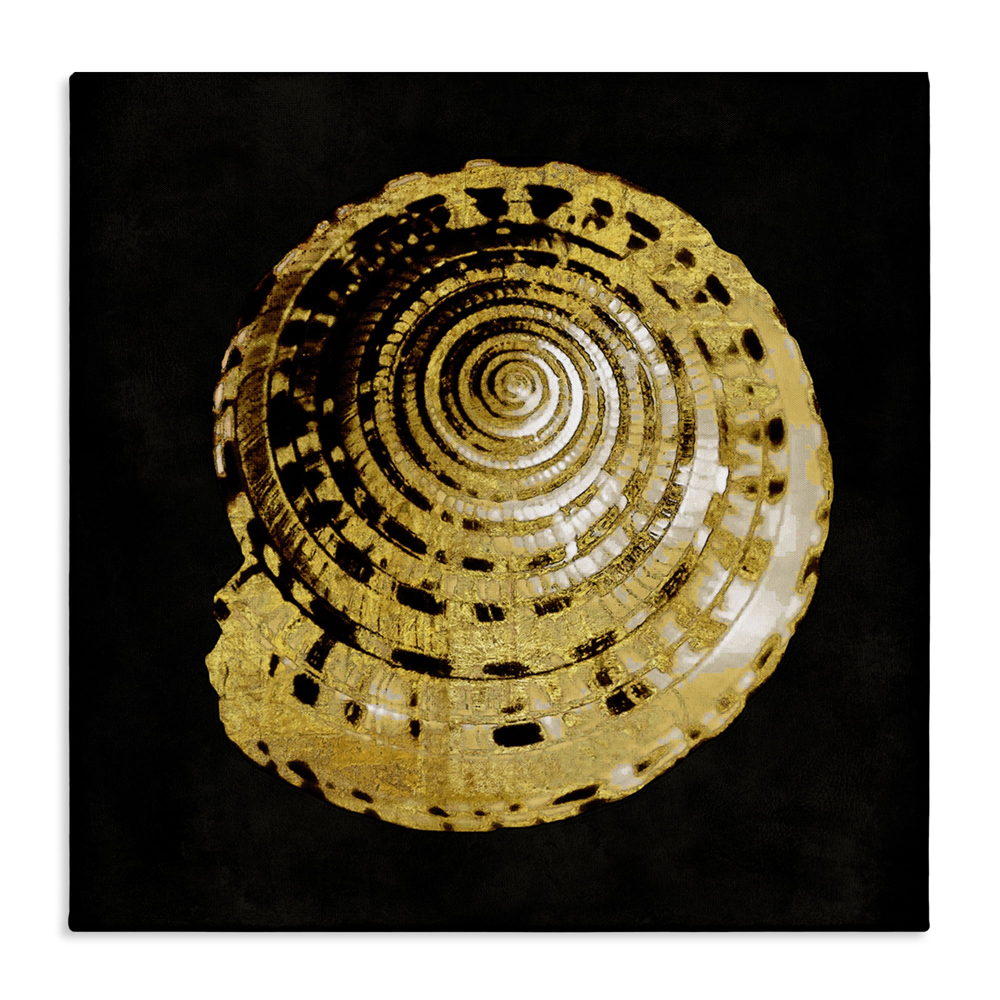 Stupell Industries Gold Spiral Shell Nautical & Beach Painting Wrapped Canvas Art Print Wall Art, 36 x 36