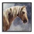 thumbnail image 1 of Stupell Industries Golden Boy Horse Animals & Insects Painting Gray Framed Art Print Wall Art, 12 x 12, 1 of 10
