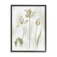 thumbnail image 1 of Stupell Industries Golden Irises Blooming over Neutral Beige Black Framed, 24 x 30, Design by Daphne Polselli, 1 of 5