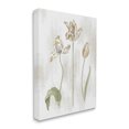thumbnail image 1 of Stupell Industries Golden Irises Blooming over Neutral Beige Canvas Wall Art, 24 x 30, Design by Daphne Polselli, 1 of 6