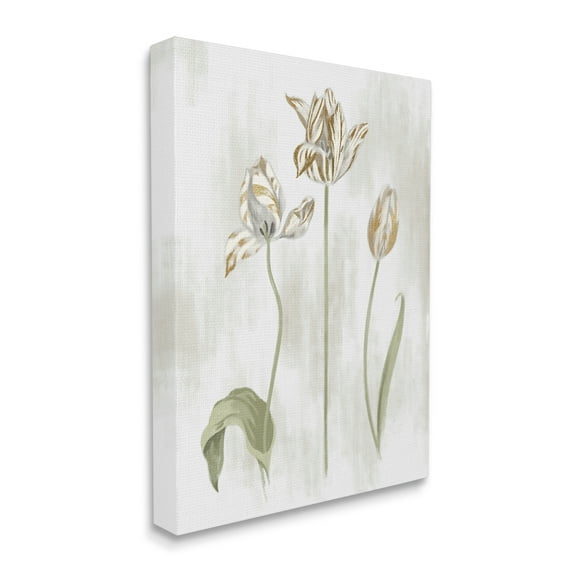 Stupell Industries Golden Irises Blooming over Neutral Beige Canvas Wall Art, 24 x 30, Design by Daphne Polselli