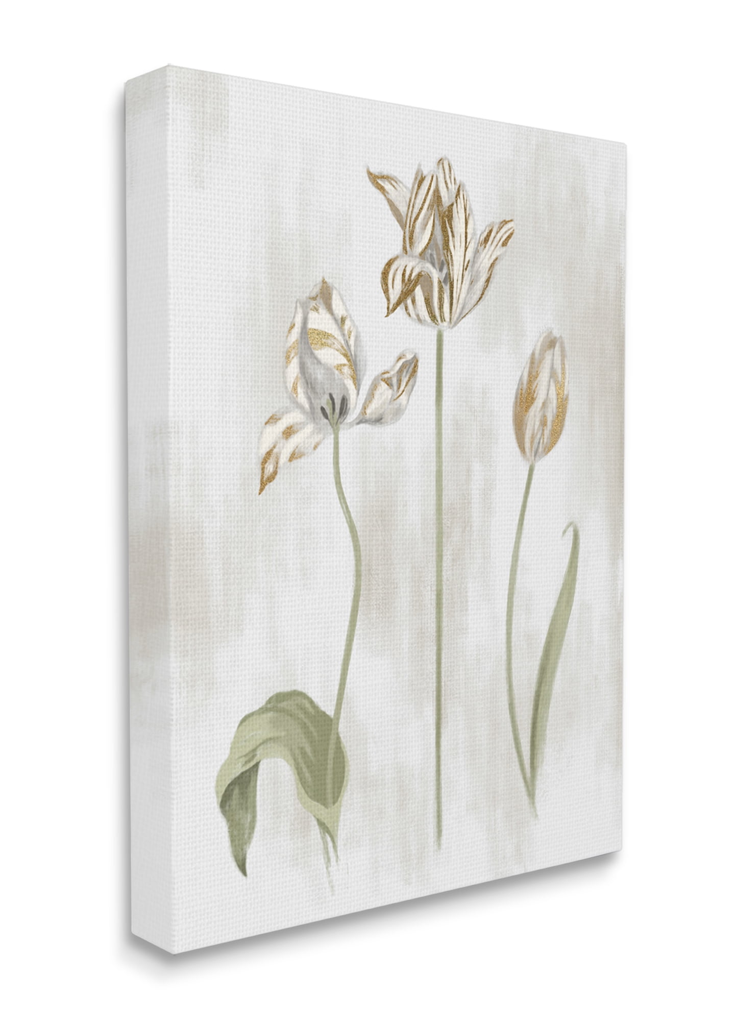 Stupell Industries Golden Irises Blooming over Neutral Beige Canvas Wall Art, 30 x 40, Design by Daphne Polselli