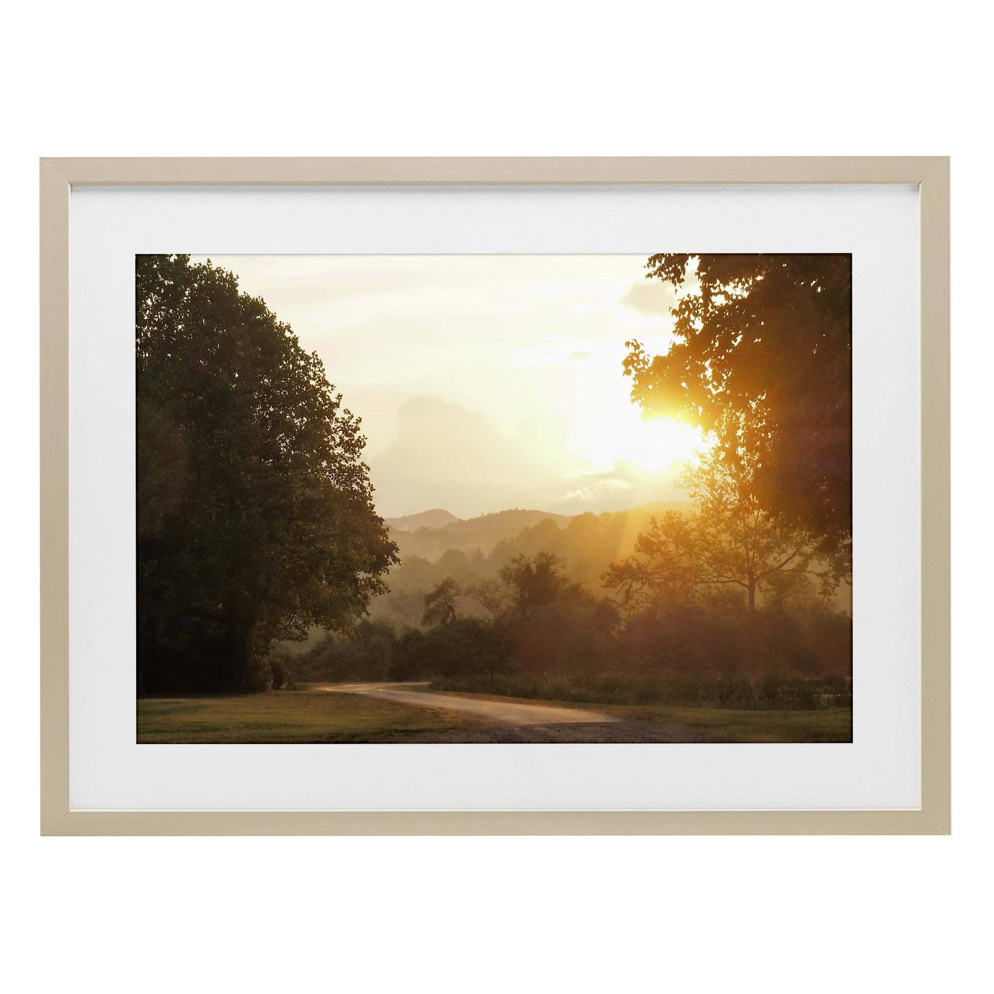 Stupell Industries Golden Morning Between Trees Birch Framed Print Under Glass, design by Gail Peck