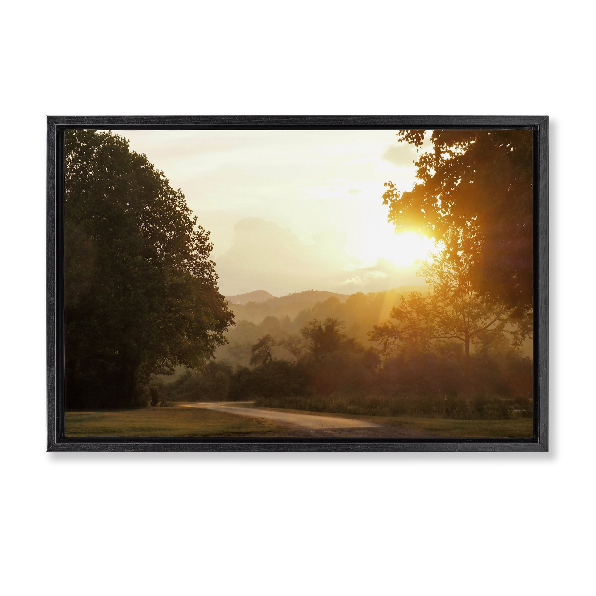 Stupell Industries Golden Morning Between Trees Black Framed Floater Canvas Wall Art, design by Gail Peck