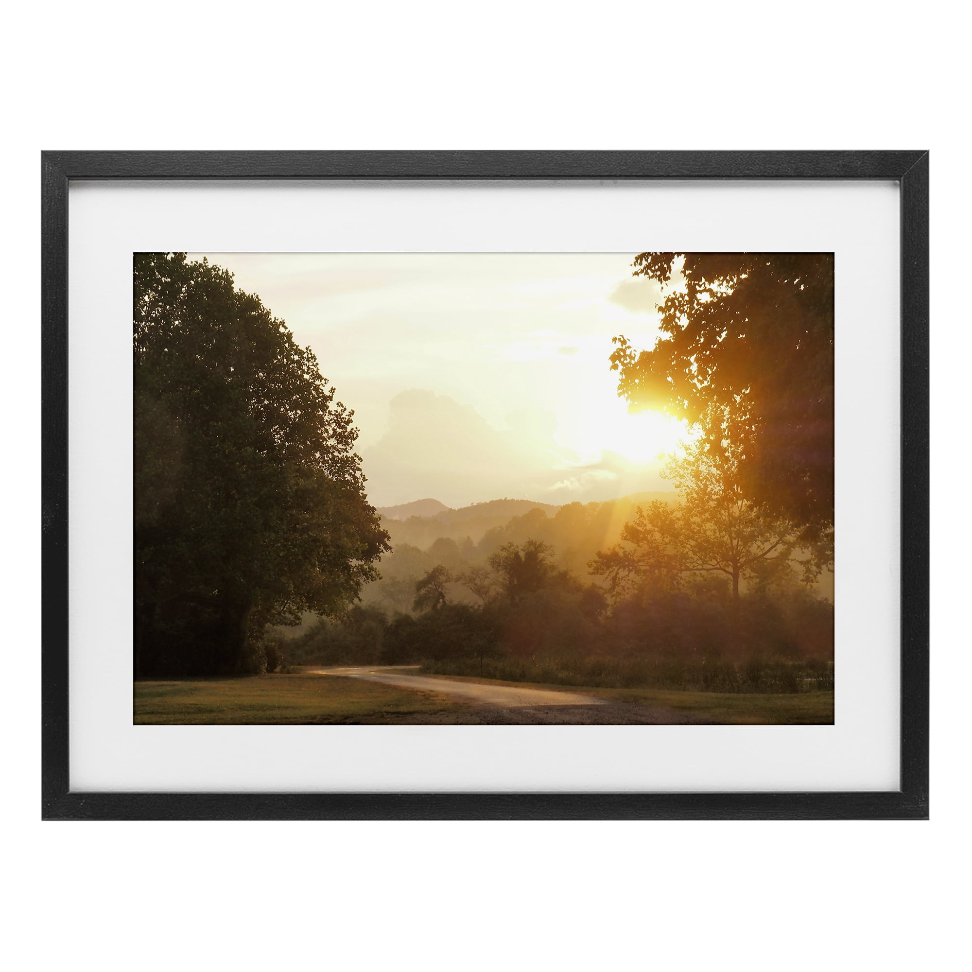 Stupell Industries Golden Morning Between Trees Black Framed Print Under Glass, design by Gail Peck