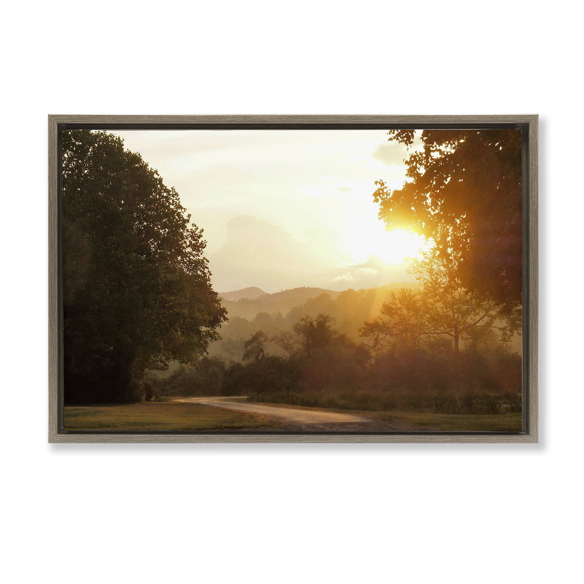 Stupell Industries Golden Morning Between Trees Brown Framed Floater Canvas Wall Art, design by Gail Peck