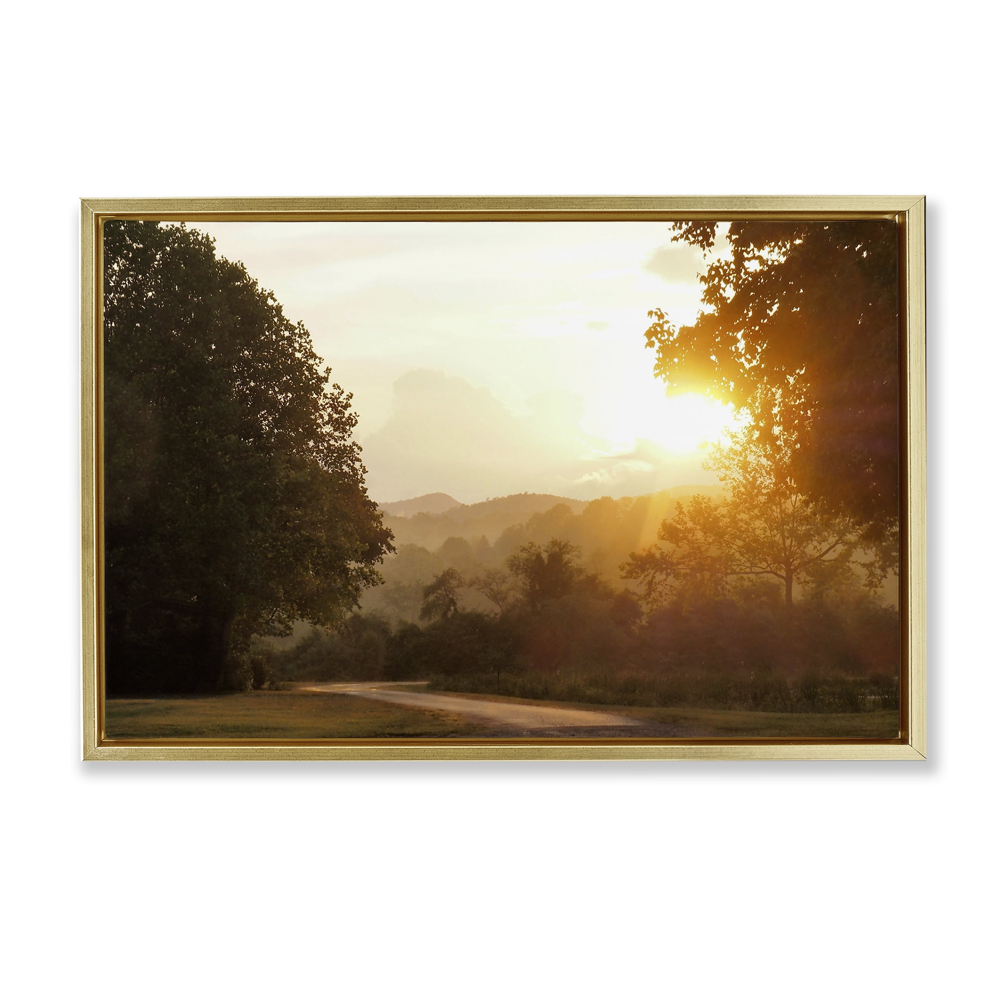 Stupell Industries Golden Morning Between Trees Gold Framed Floater Canvas Wall Art, design by Gail Peck