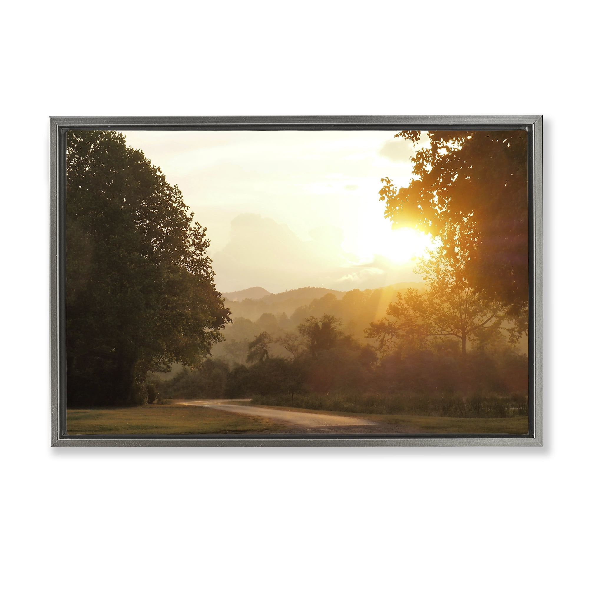 Stupell Industries Golden Morning Between Trees Gray Framed Floater Canvas Wall Art, design by Gail Peck