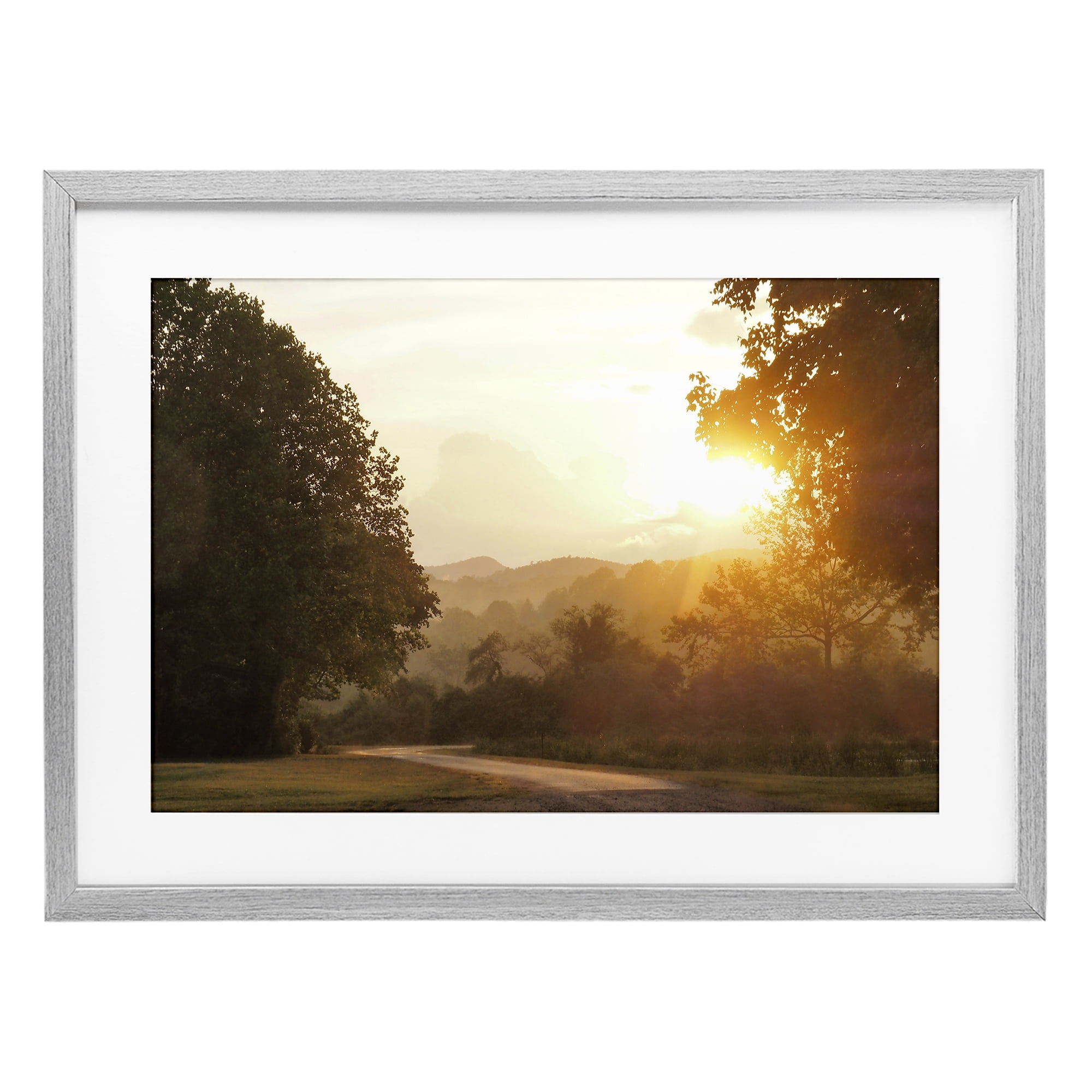 Stupell Industries Golden Morning Between Trees Gray Framed Print Under Glass, design by Gail Peck