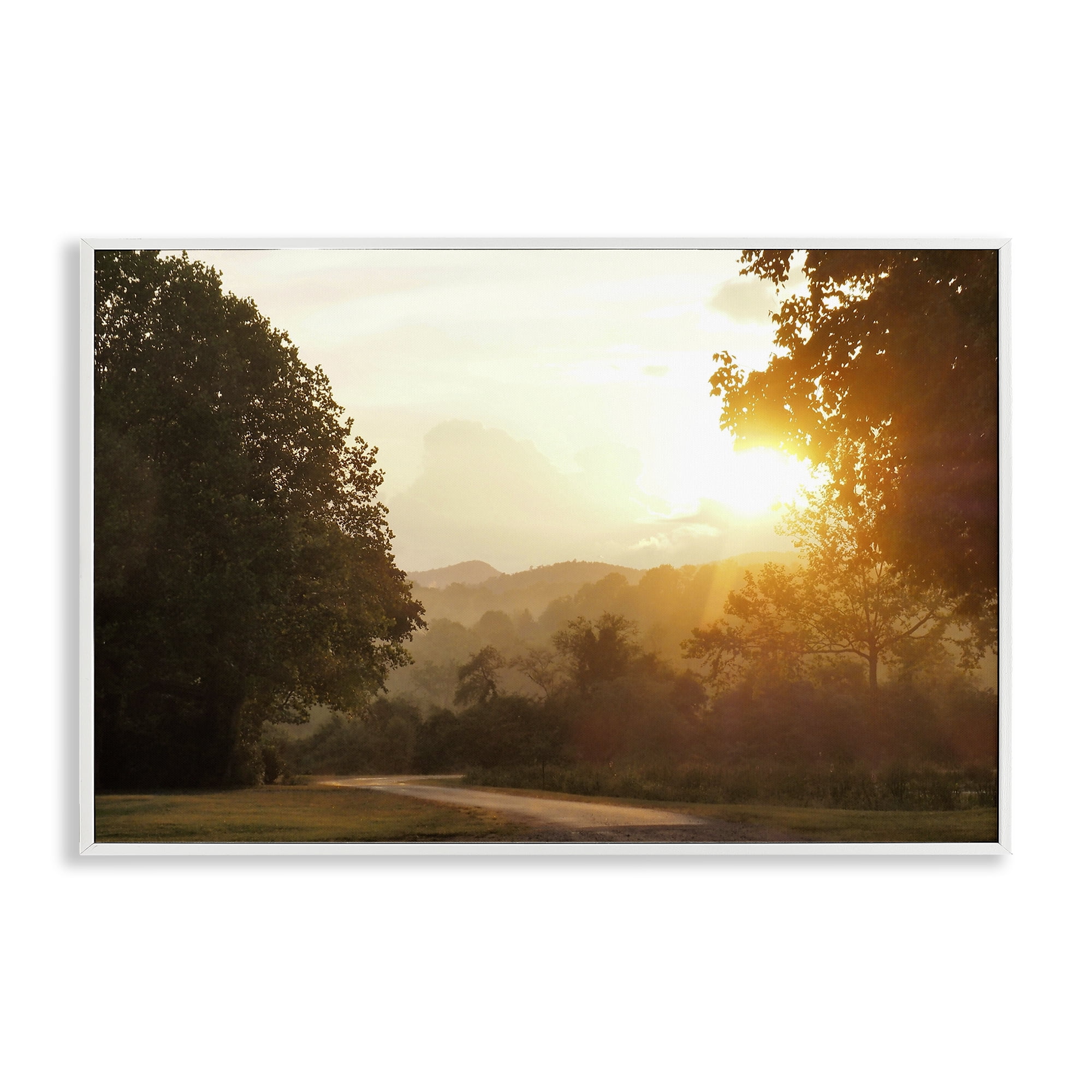 Stupell Industries Golden Morning Between Trees White Framed Giclee Art, design by Gail Peck
