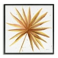 thumbnail image 1 of Stupell Industries Golden Palm Frond Botanical & Floral Painting Gray Framed Art Print Wall Art, 24 x 24, 1 of 2