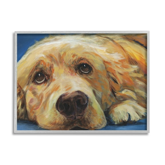 Stupell Industries Golden Retriever Begging Eyes Expressive Dog Portrait,14 x 11, Design by Kamdon Kreations