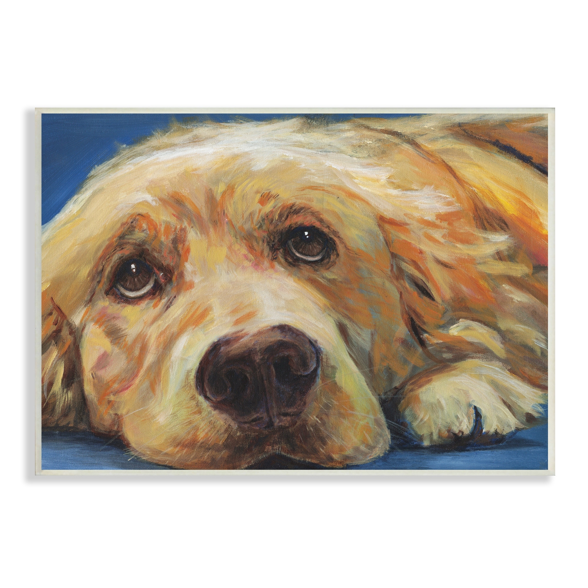 Stupell Industries Golden Retriever Begging Eyes Expressive Dog Portrait,19 x 13, Design by Kamdon Kreations