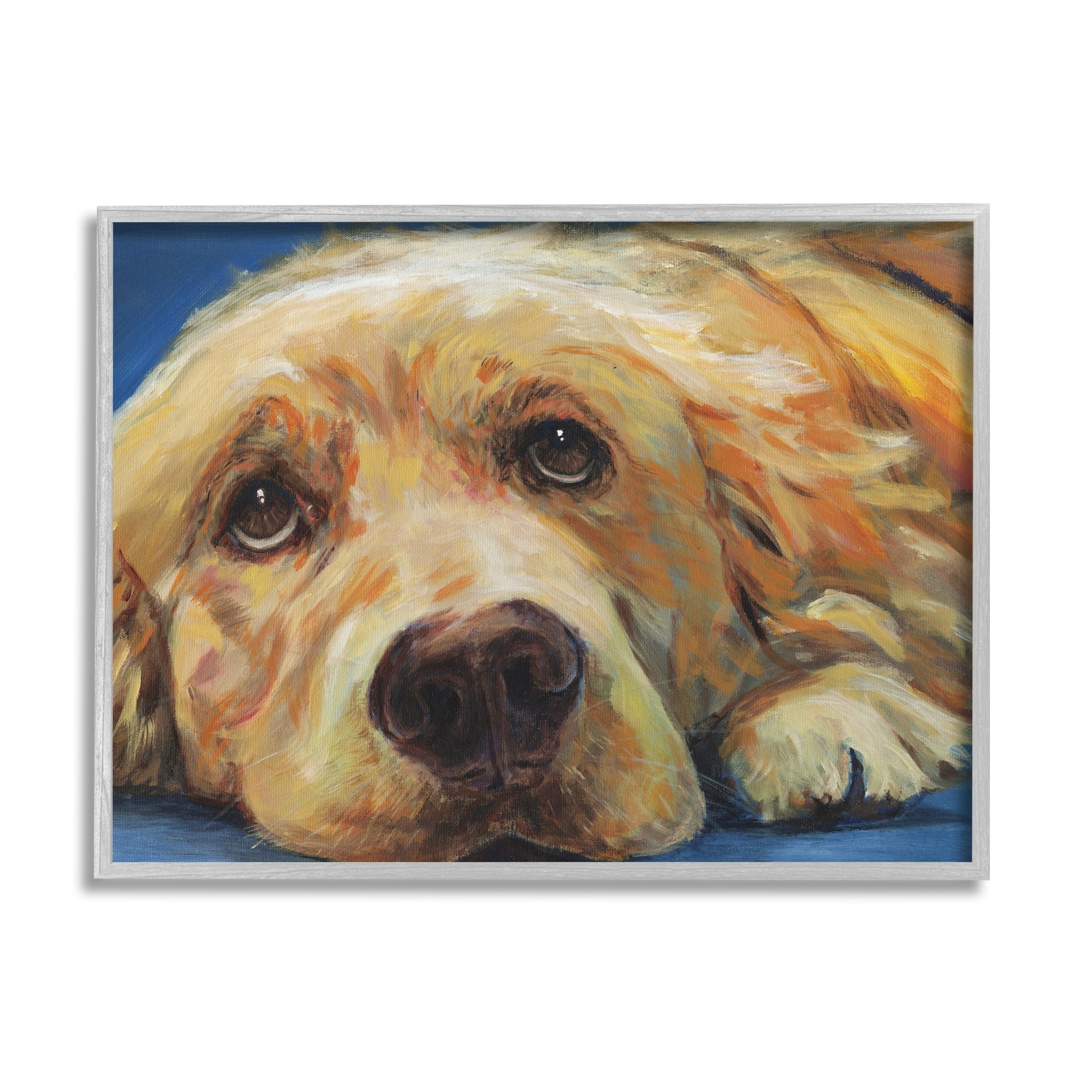 Stupell Industries Golden Retriever Begging Eyes Expressive Dog Portrait,20 x 16, Design by Kamdon Kreations