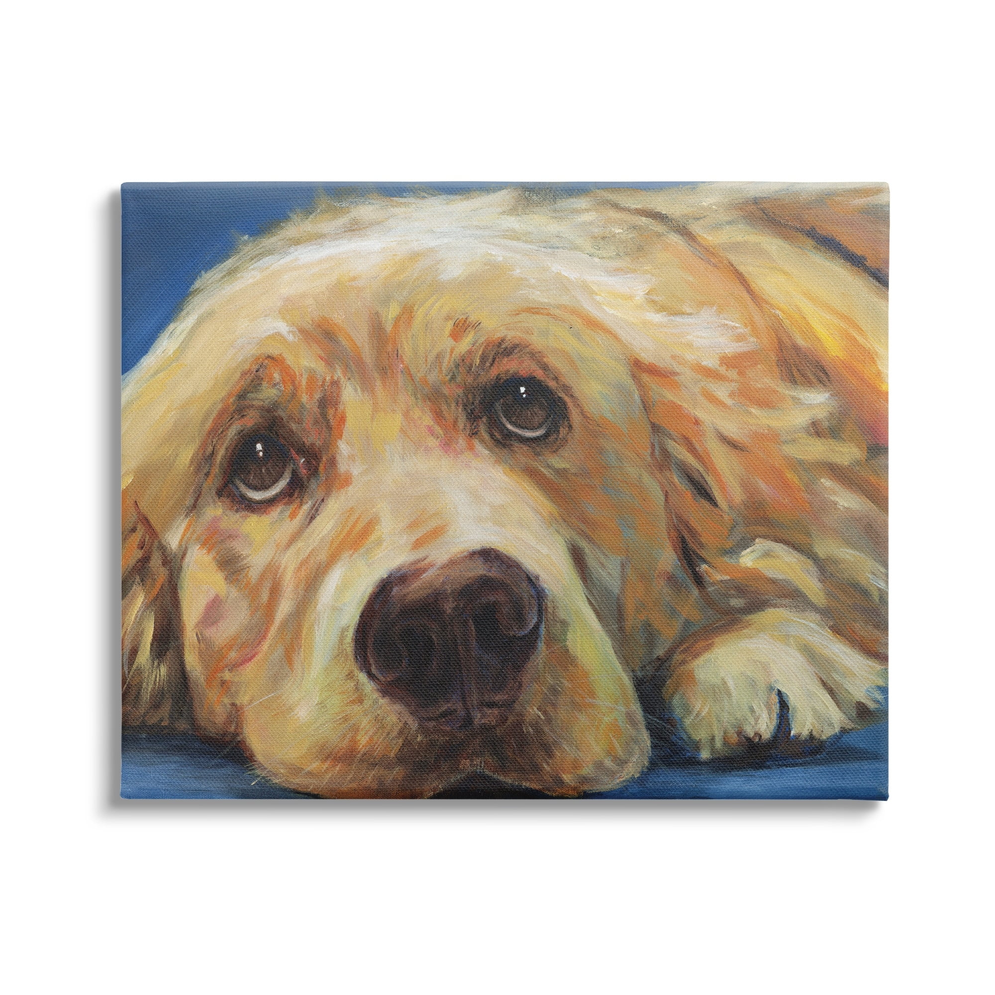 Stupell Industries Golden Retriever Begging Eyes Expressive Dog Portrait,30 x 24, Design by Kamdon Kreations
