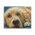 thumbnail image 1 of Stupell Industries Golden Retriever Begging Eyes Expressive Dog Portrait,48 x 36, Design by Kamdon Kreations, 1 of 5