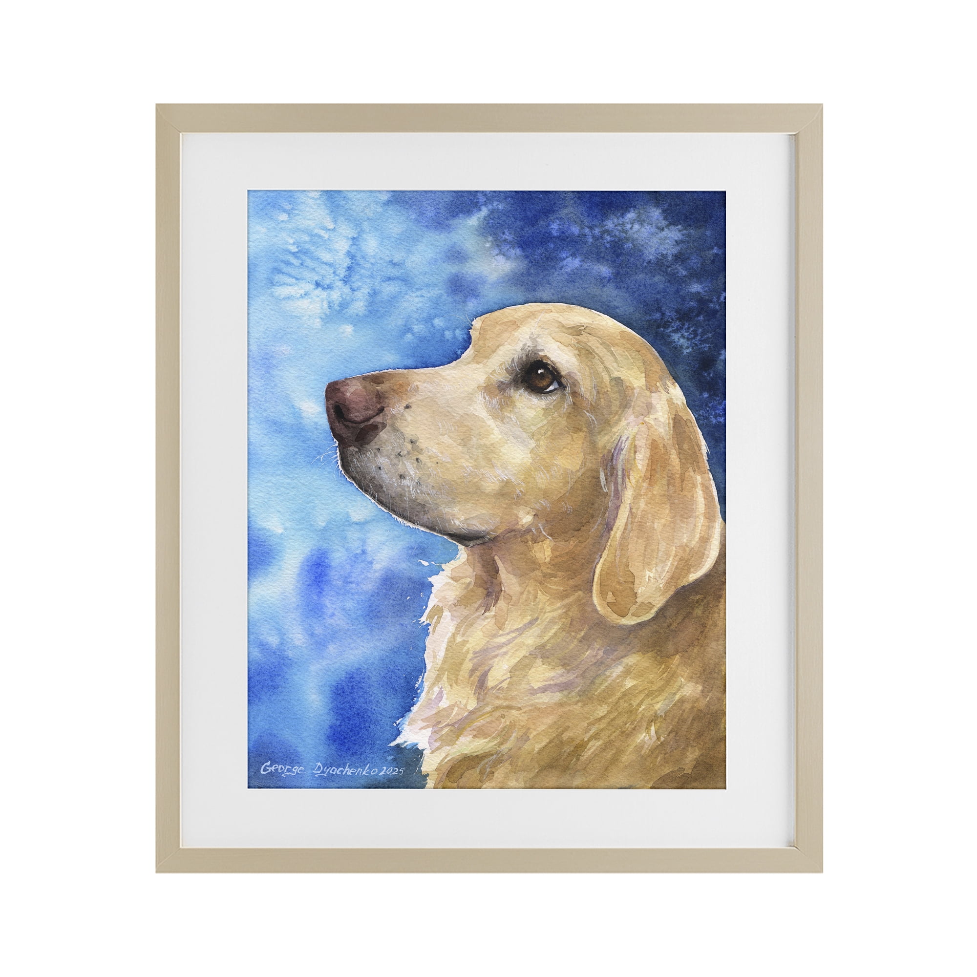Stupell Industries Golden Retriever Portrait on Azure Birch Framed Print Under Glass, design by George Dyachenko