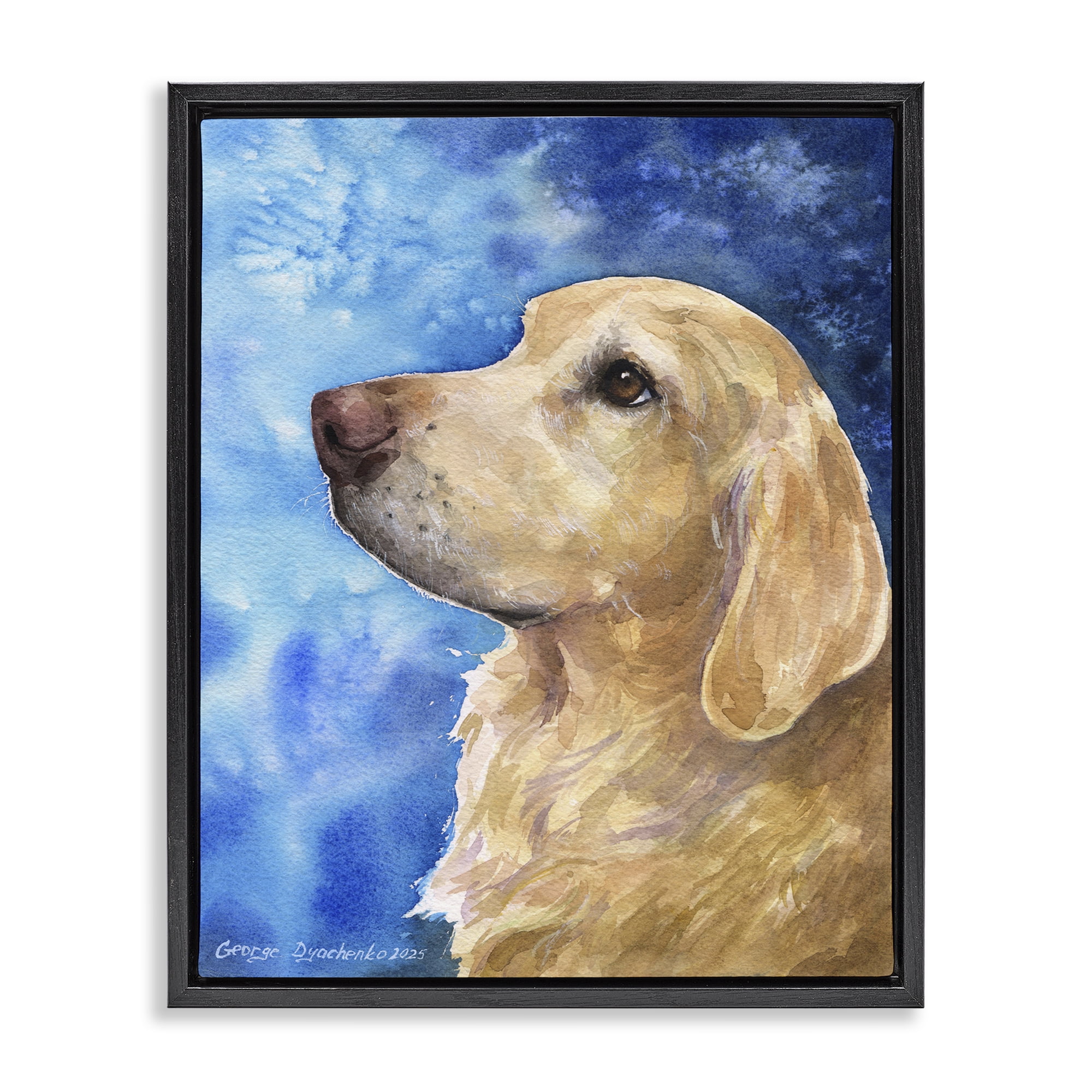 Stupell Industries Golden Retriever Portrait on Azure Black Framed Floater Canvas Wall Art, design by George Dyachenko