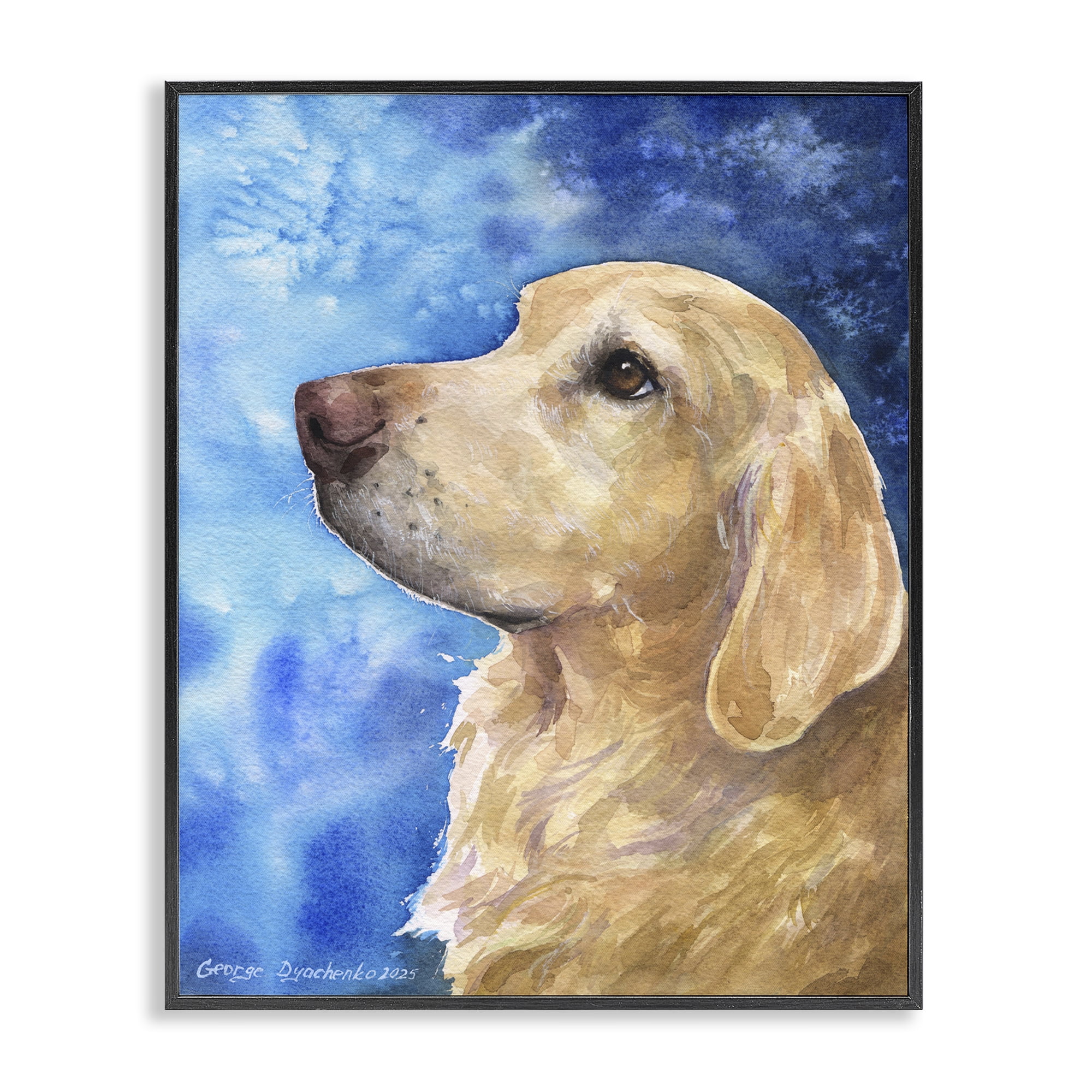Stupell Industries Golden Retriever Portrait on Azure Black Framed Giclee Art, design by George Dyachenko