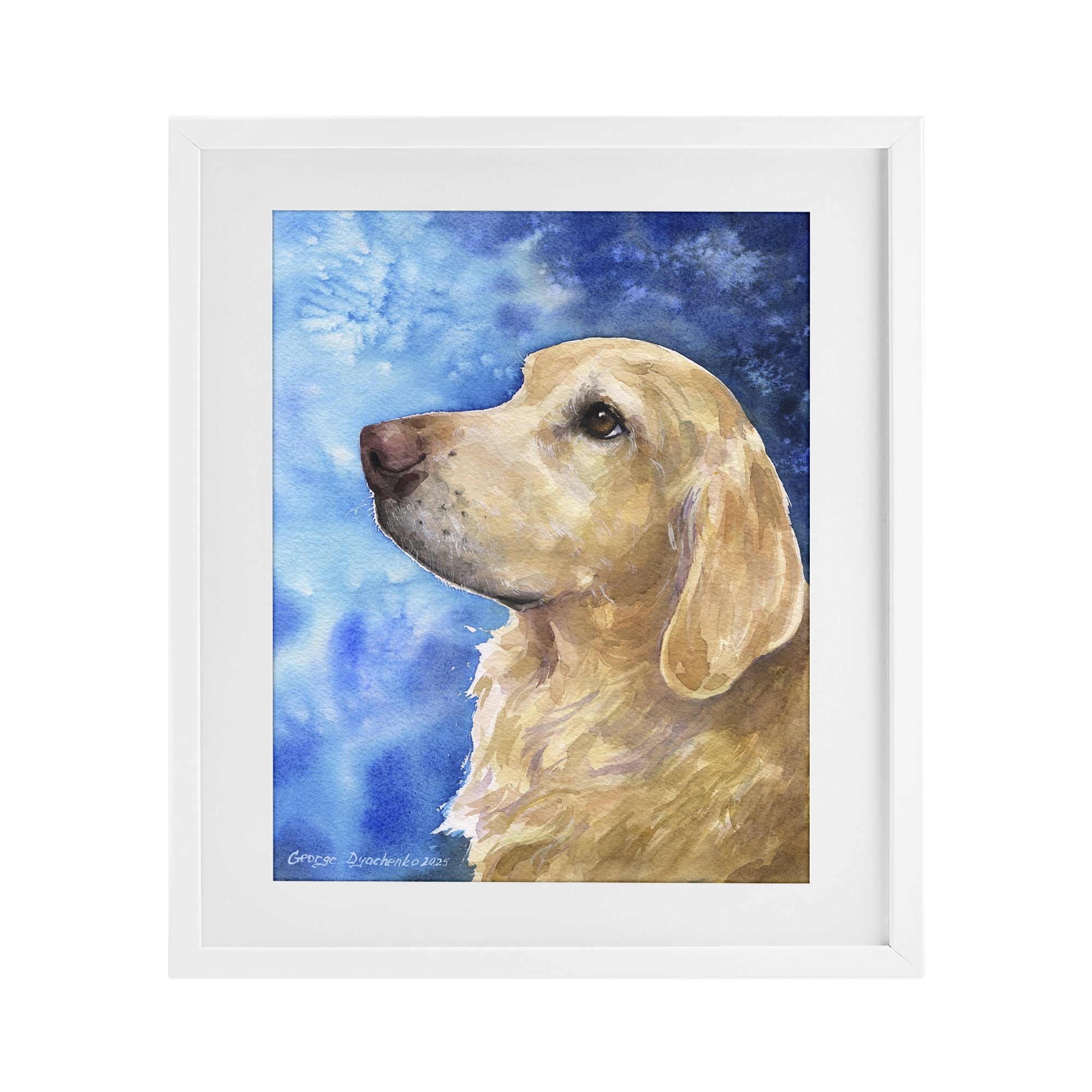 Stupell Industries Golden Retriever Portrait on Azure White Framed Print Under Glass, design by George Dyachenko