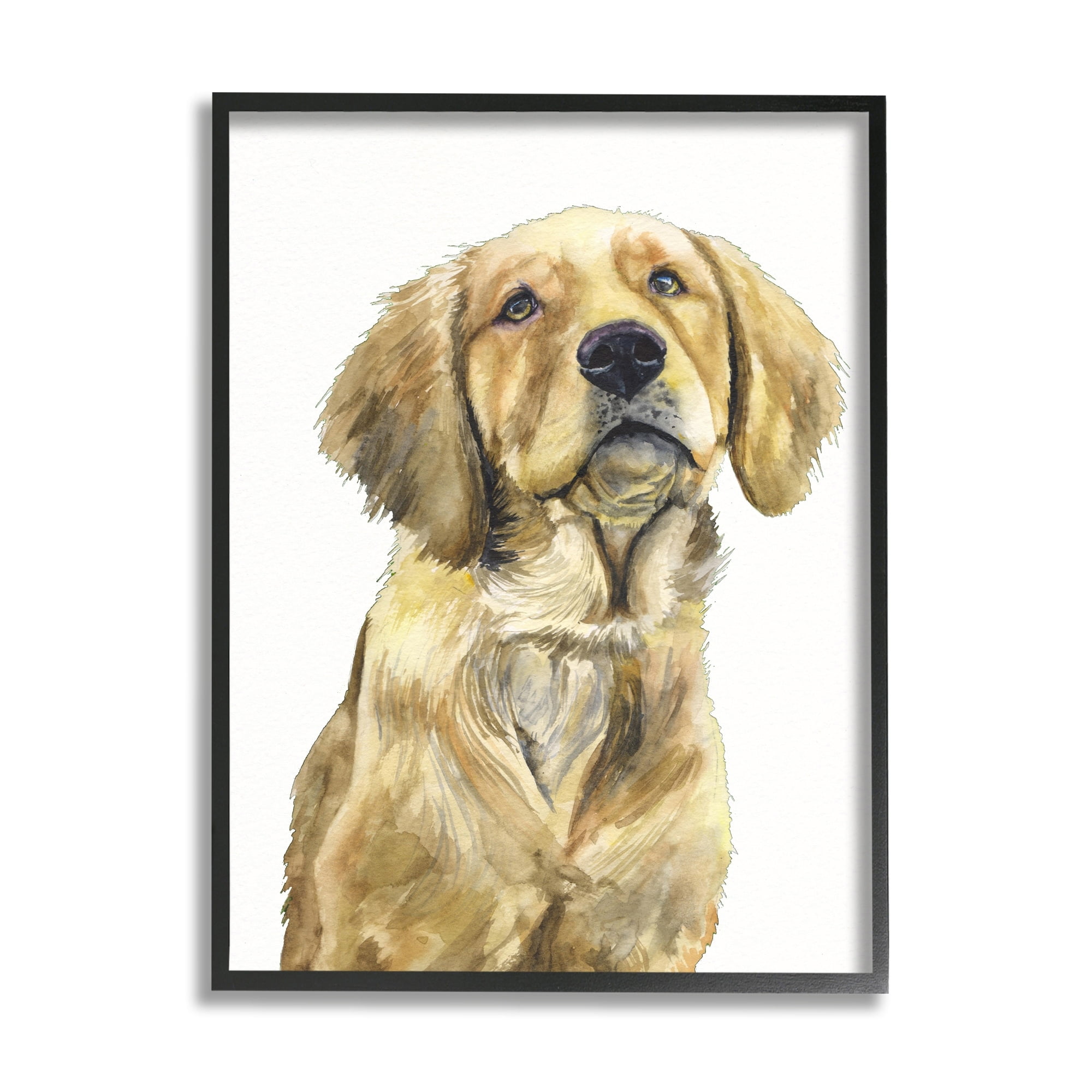 Stupell Industries Golden Retriever Puppy Portrait Soft Yellow Dog Black Framed, 11 x 14, Design by George Dyachenko