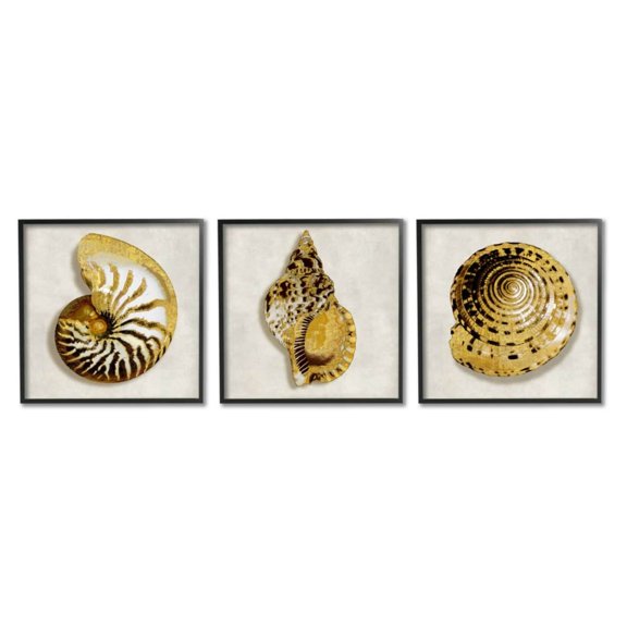 Stupell Industries Golden Spiral Seashells with Intricate Patterns Design by Caroline Kelly