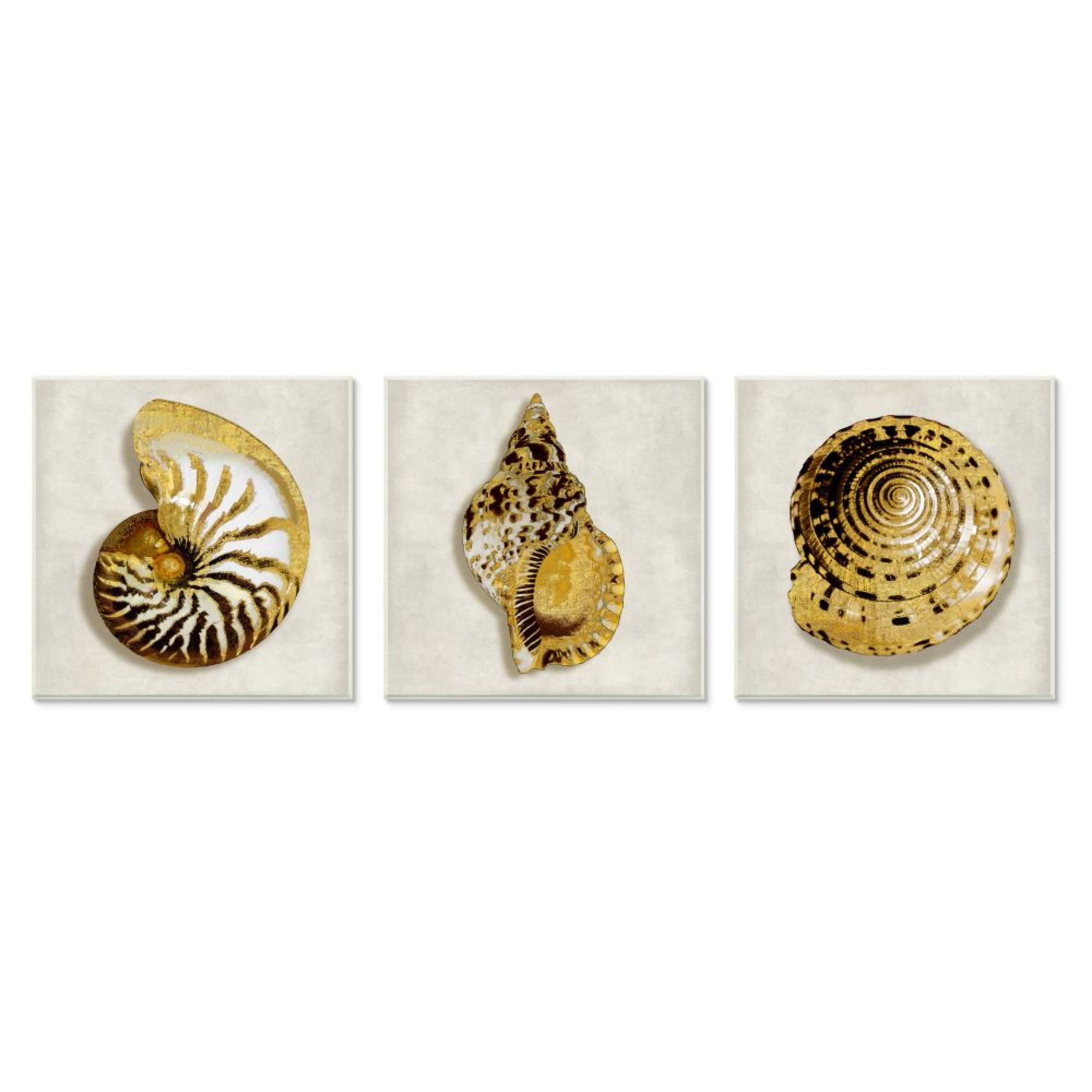 Golden Spiral Seashells Intricate Patterns 12" x 12" Wood Wall Art Set