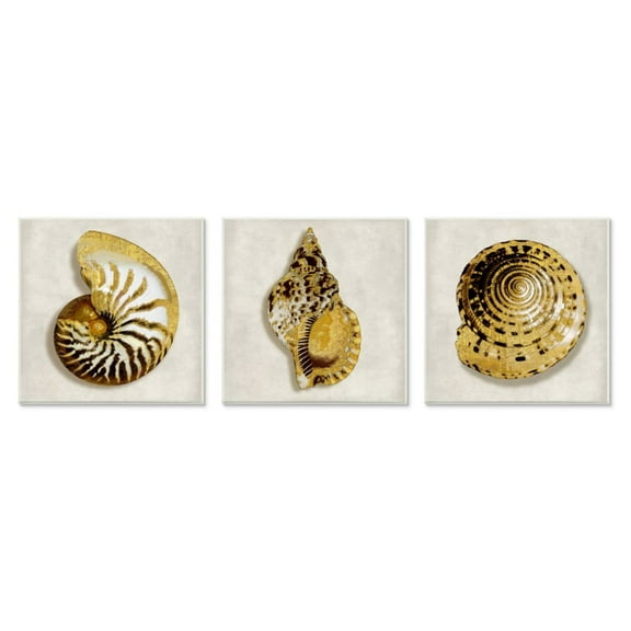 Stupell Industries Golden Spiral Seashells with Intricate Patterns Design by Caroline Kelly