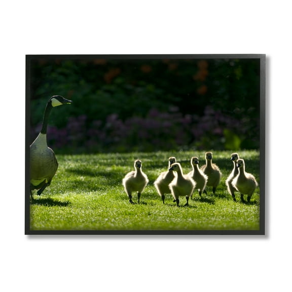Stupell Industries Goose Family Photography Animals & Insects Photography Black Framed Art Print Wall Art, 14 x 11
