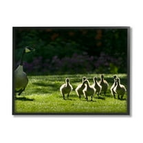 Stupell Industries Goose Family Photography Animals & Insects Photography Black Framed Art Print Wall Art, 14 x 11