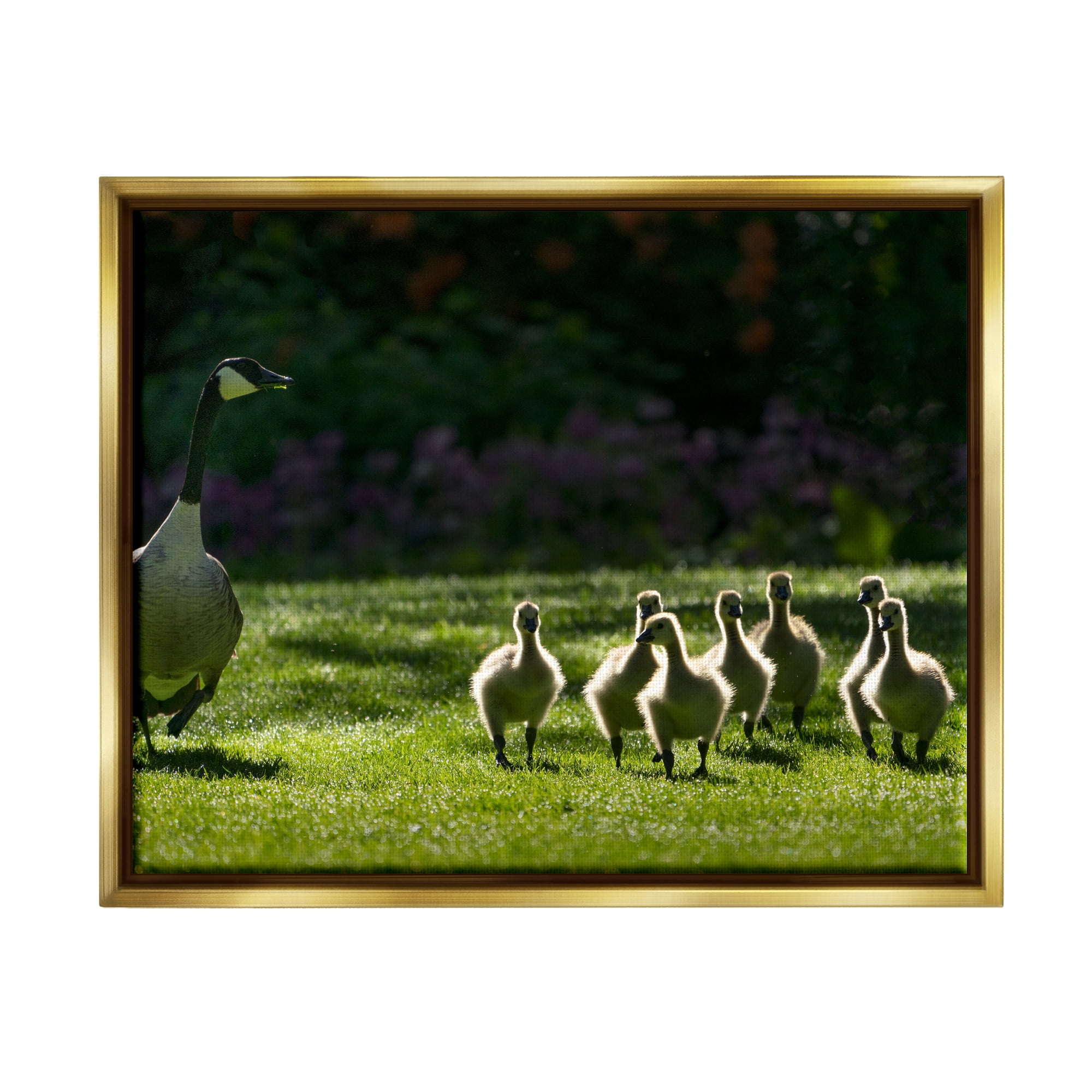 Stupell Industries Goose Family Photography Animals & Insects Photography Gold Floater Framed Art Print Wall Art, 21 x 17