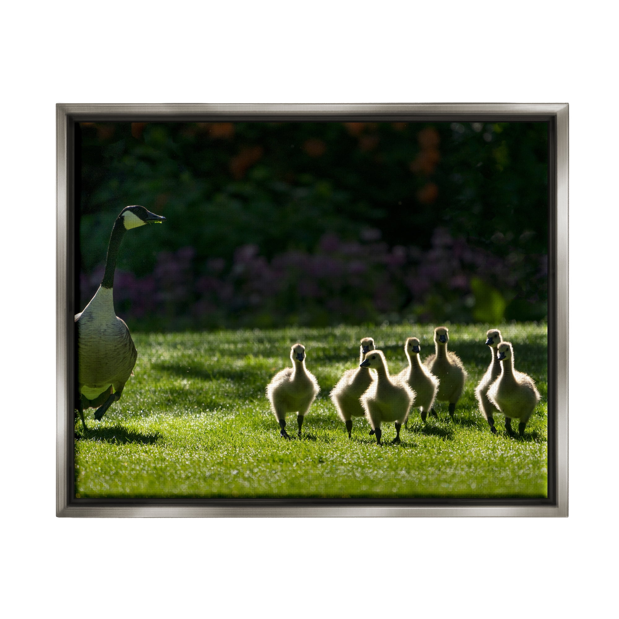 Stupell Industries Goose Family Photography Animals & Insects Photography Gray Floater Framed Art Print Wall Art, 31 x 25