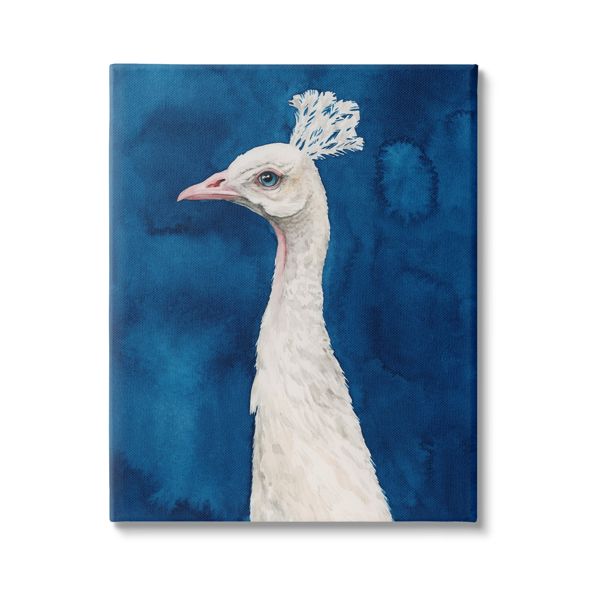 Stupell Industries Gorgeous Royal Blue White Feathers Peacock Portrait , 30 x 40, Design by Grace Popp
