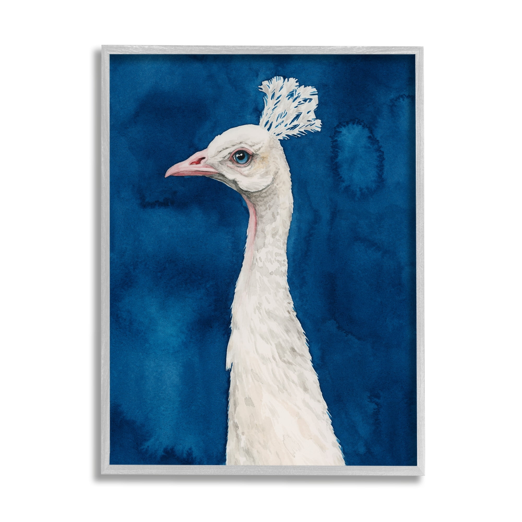 Stupell Industries Gorgeous Royal Blue White Feathers Peacock Portrait Paintings Gray Framed Art Print Wall Art, 11x14, by Grace Popp